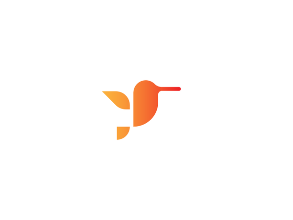 Hummingbird geometric illustration hummingbird bird mark branding iden.webp