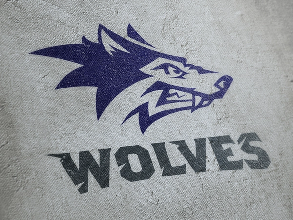 Wolves_drib brand illustration design bruner mike wolves logo mascot w.webp