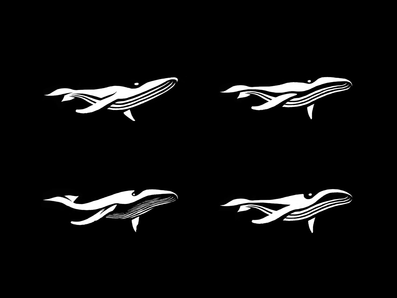 humpback whale - sketches 2 process sketches whale animal custom logo.jpg