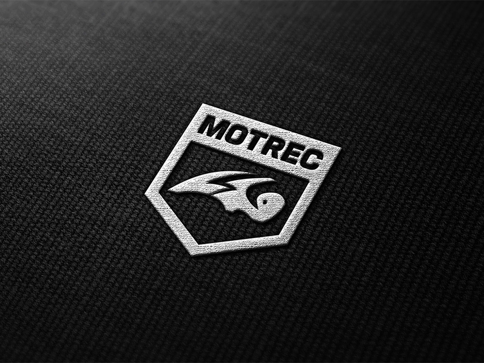 Motrec custom logo design animal brand mark symbol designer branding i.jpg