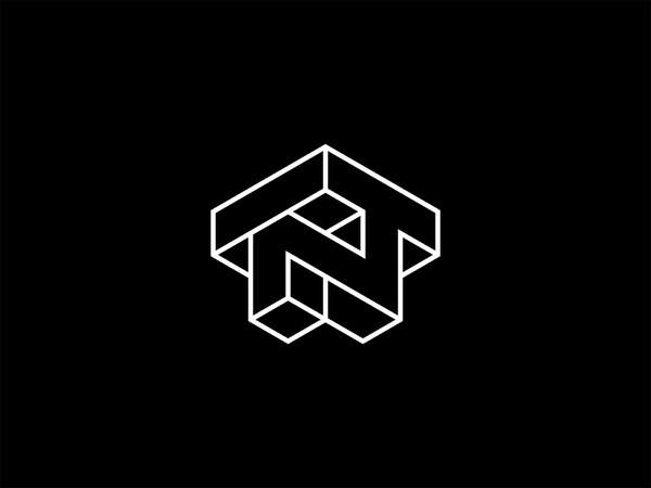 NT monogram monoline geometric design symbol monogram branding logotyp.jpg