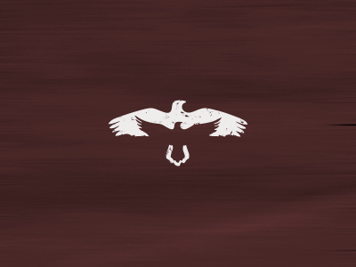 Raven brandmark negative space bird raven cresk gert van duinen idgram.png