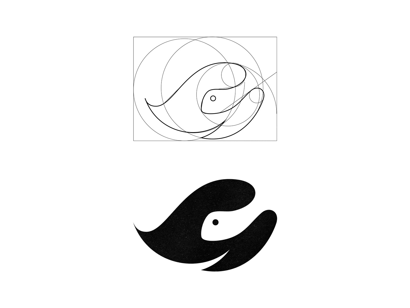 Turtle custom logo design turtle animal symbol designer branding ident.jpg