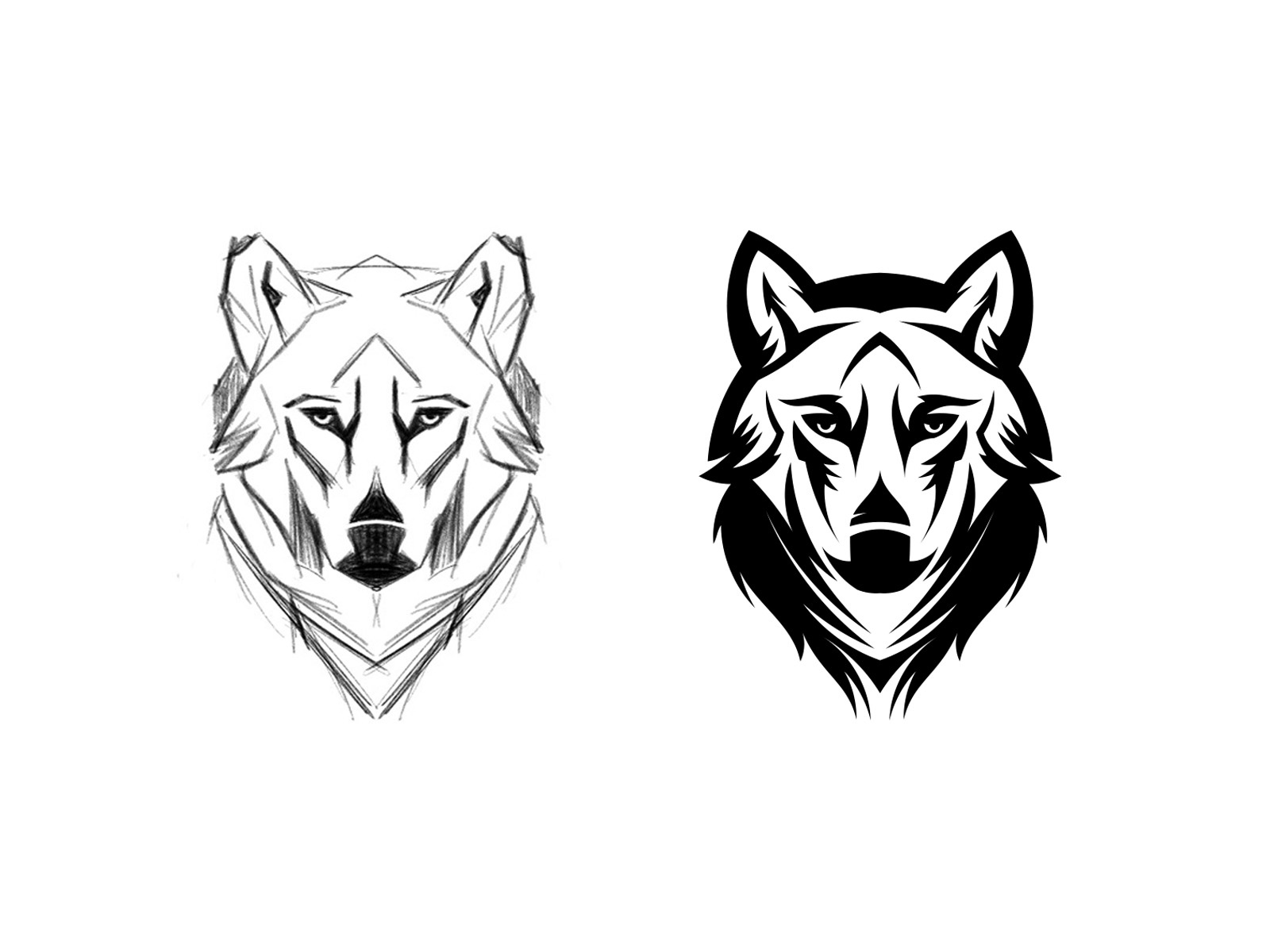 Wolf illustration process wolf animal custom logo design symbol design.jpg