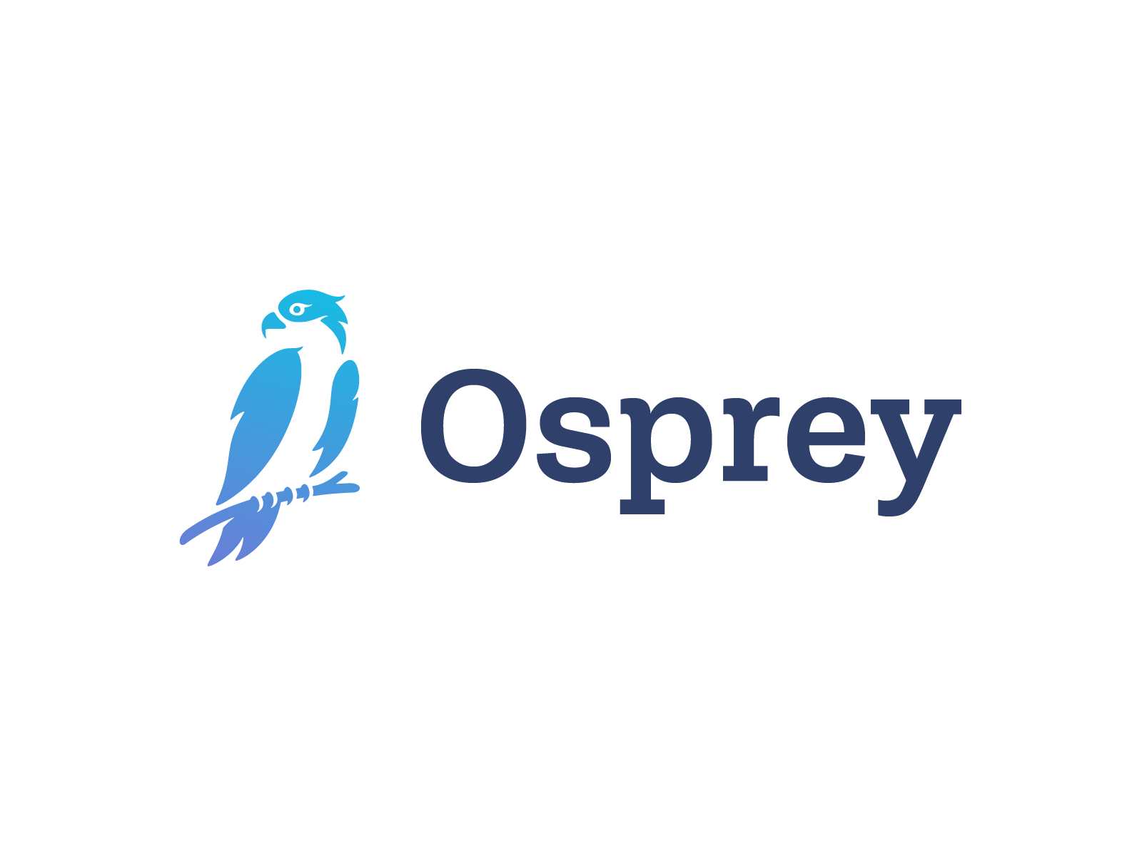 Osprey Branding gradient bitcoin crypto brand mark symbol logo animal.png