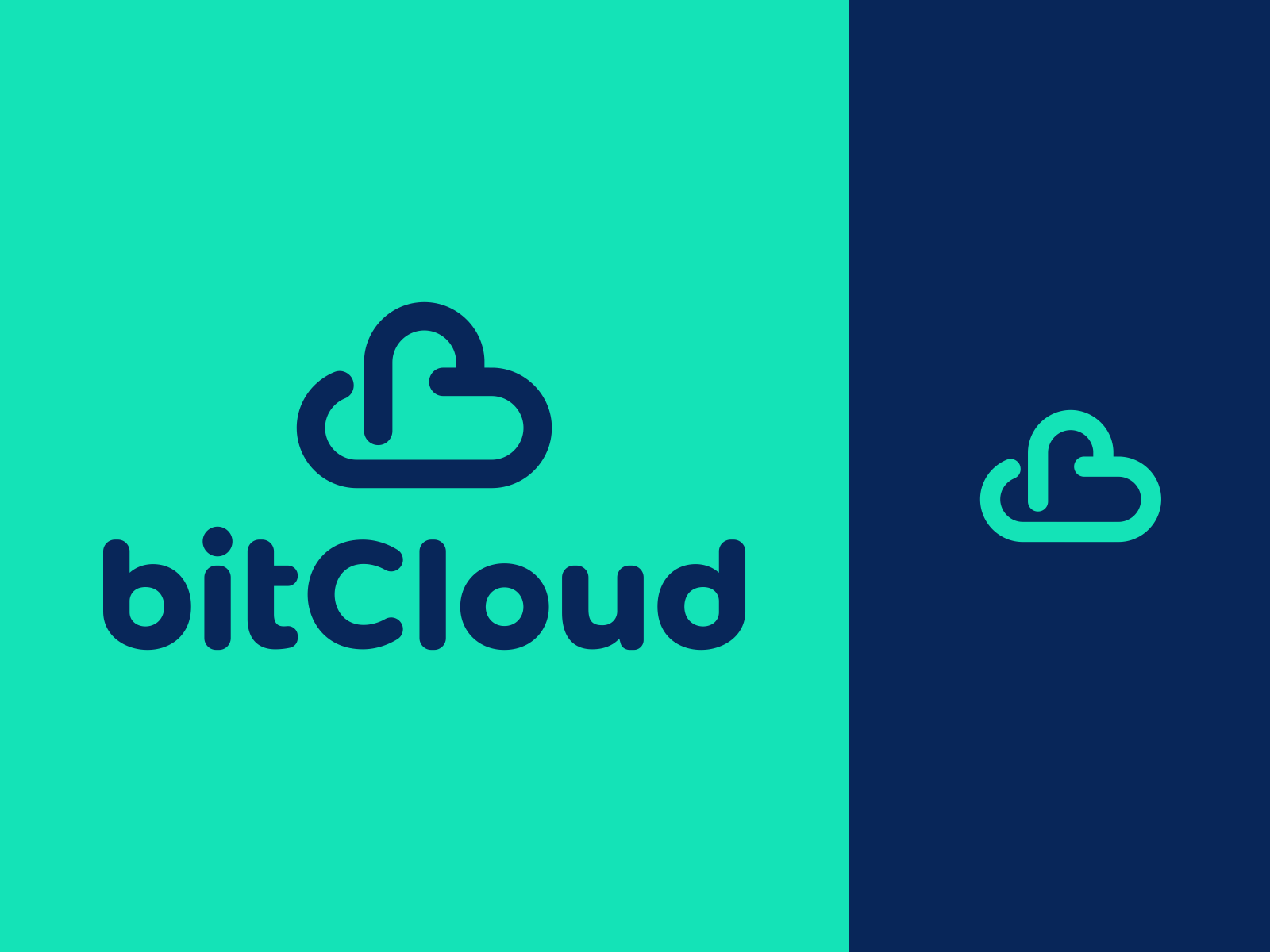 bitCloud Logo Design t h e q u i c k b r o w n f o x j u m p e d o v e.png