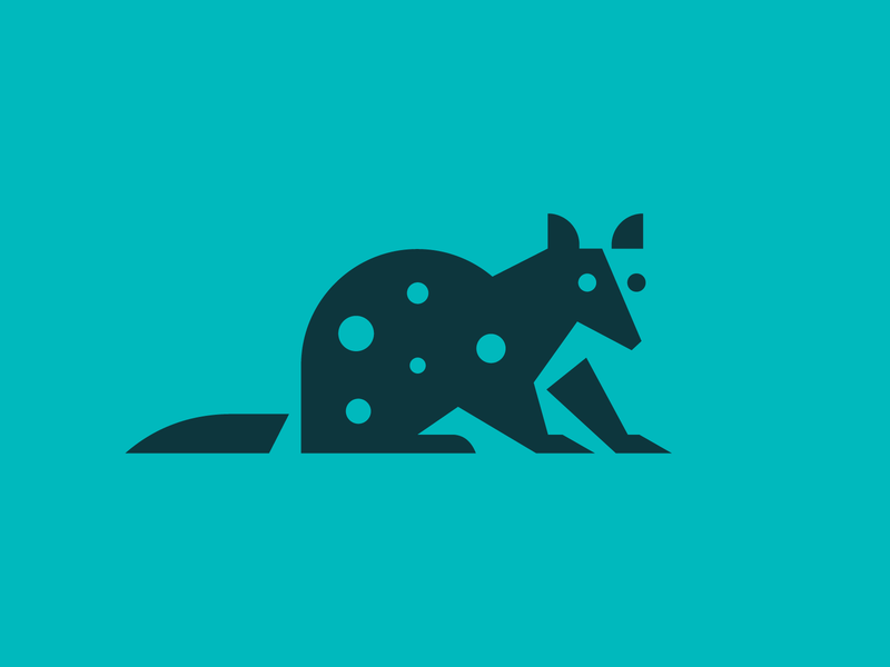 Quoll - Logo Concept negative space rodent animal quoll identity heisl.png