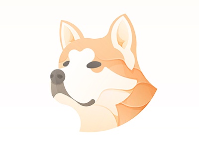 Akita Inu Dog.jpg