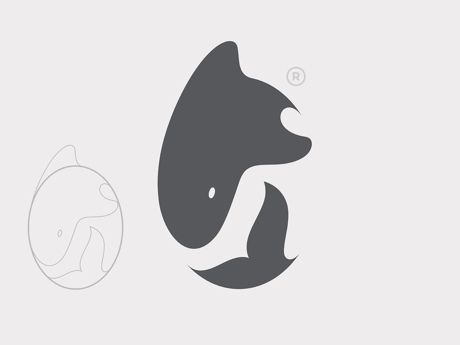 branding logo fish whale animal design vector illustration.jpg
