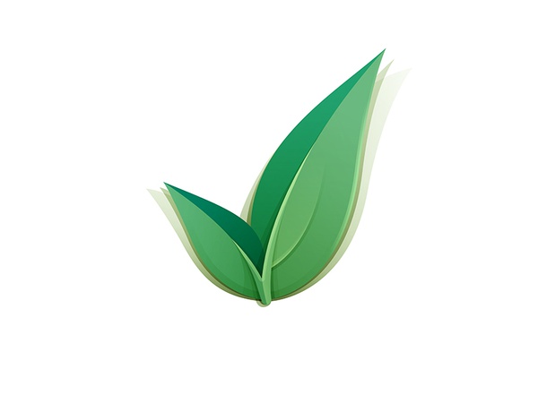 Check Mark Concept Final project faria leaf yp © yoga perdana.jpg