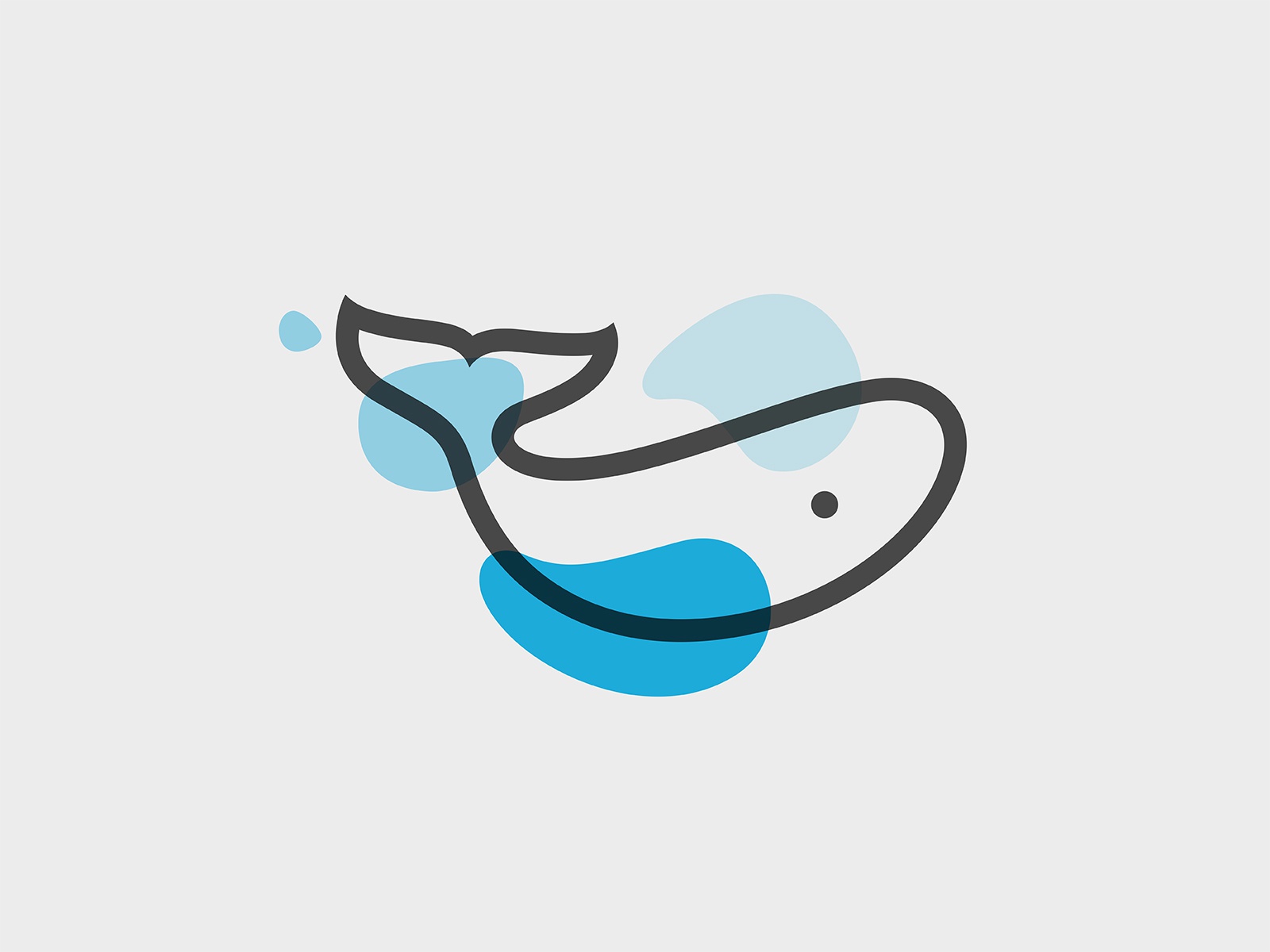 whale fish sea whale.jpg