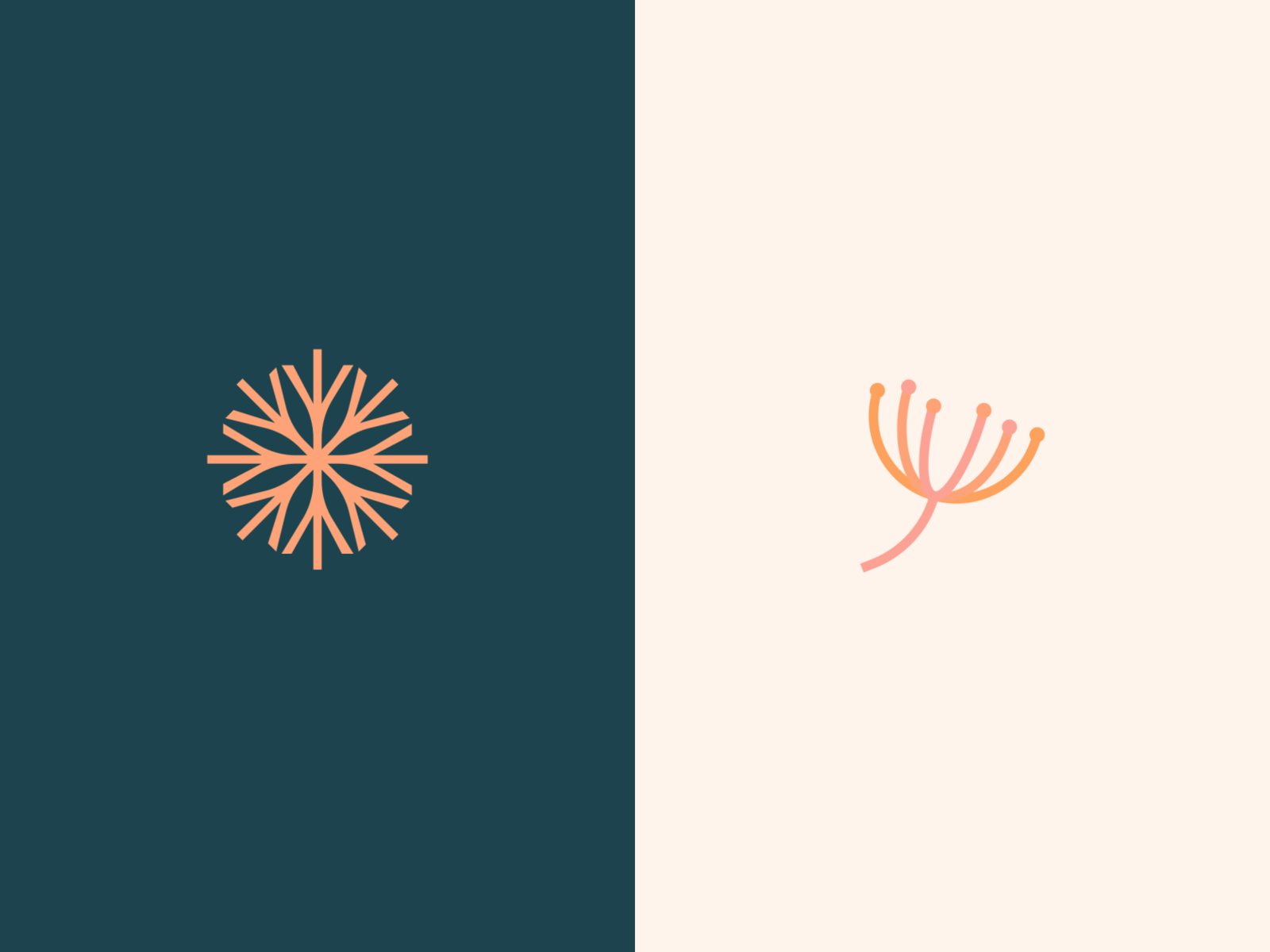 Dandelion Logo Exploraitons branding fun geometric logo design design.png