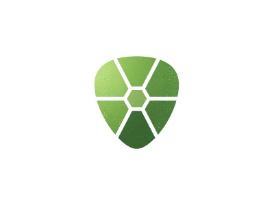 Turtle Shell  Shield Combo logo shield shell turtle.jpg