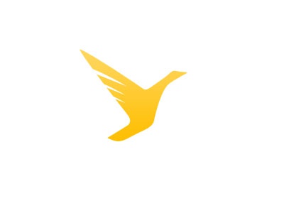 WIP - Charleston Seaplanes pin goose flying logo.jpg