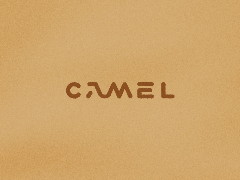 Camel camel hump sand roko kerovec rokac.jpg