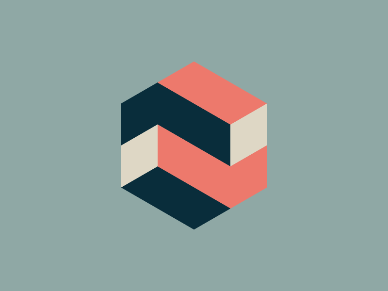 S Version 3 hexagon mark logo symbol s.webp