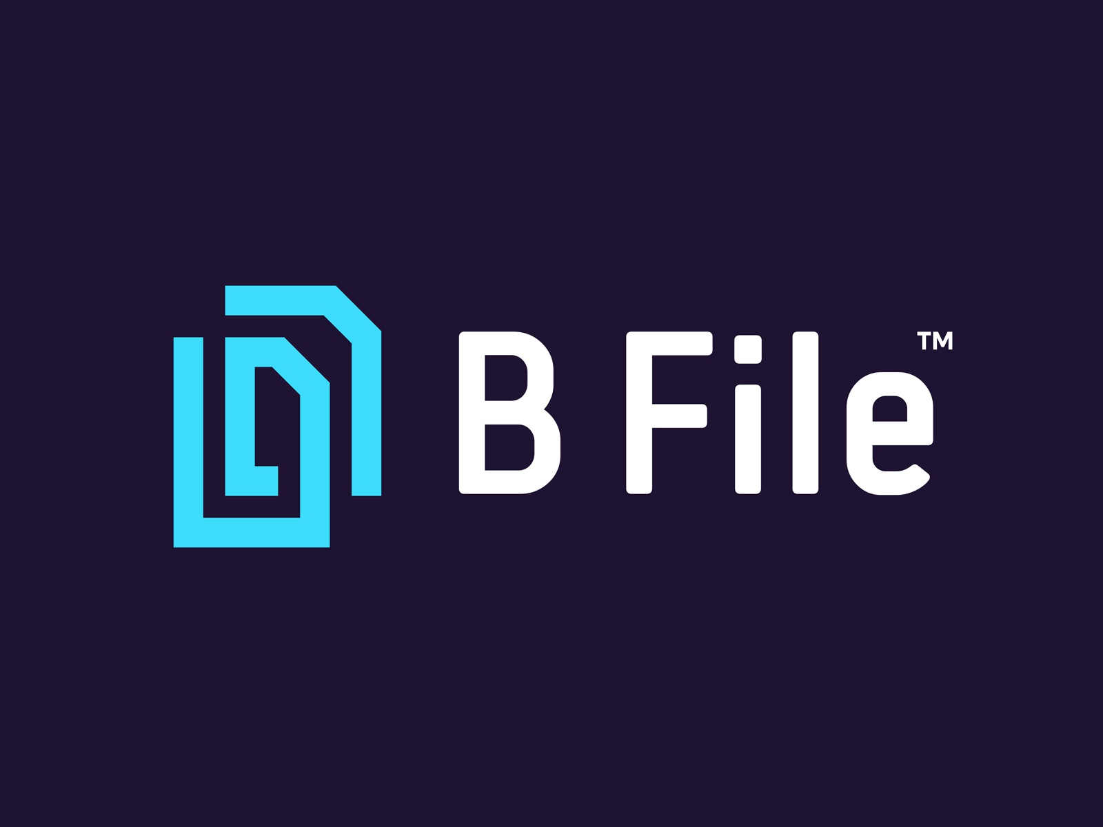BFILE maze it software cloud pension insurance paperclip clip file log.jpg