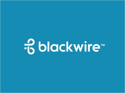 Blackwire infinity logo initials line wire cut shadow loop flow financ.jpg