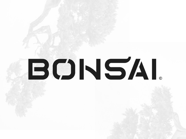 Bonsai stencil plant restaurant food asia lettering custom typography.jpg