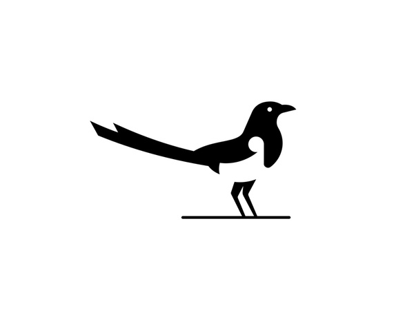 Magpie bar food fashion sports negative white black magpie bird animal.jpg
