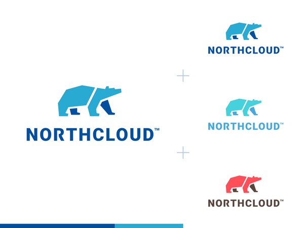 NorthCloud tech ice blue canada power it polar bear wild cloud animal.jpg