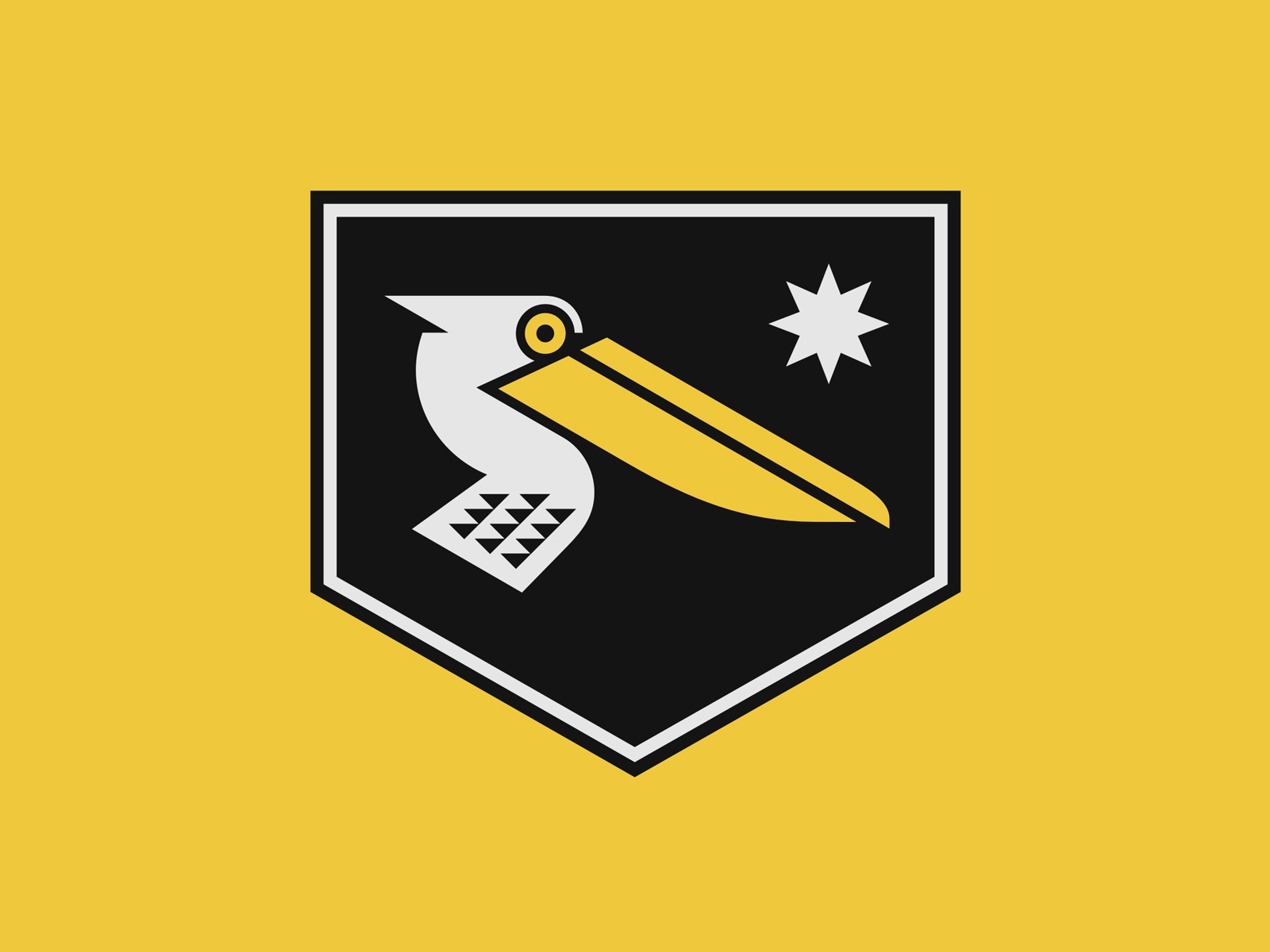 Pelicanos navigation ocean sea beak yellow star pelican bird animal em.jpg