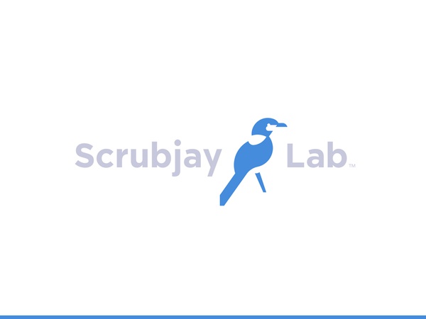 SJL blue negative research development software lab jay scrubjay bird.jpg