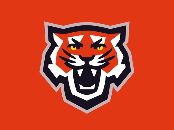 Tigers geometry orange roar head sports mascot tigers tiger cat wild a.jpg