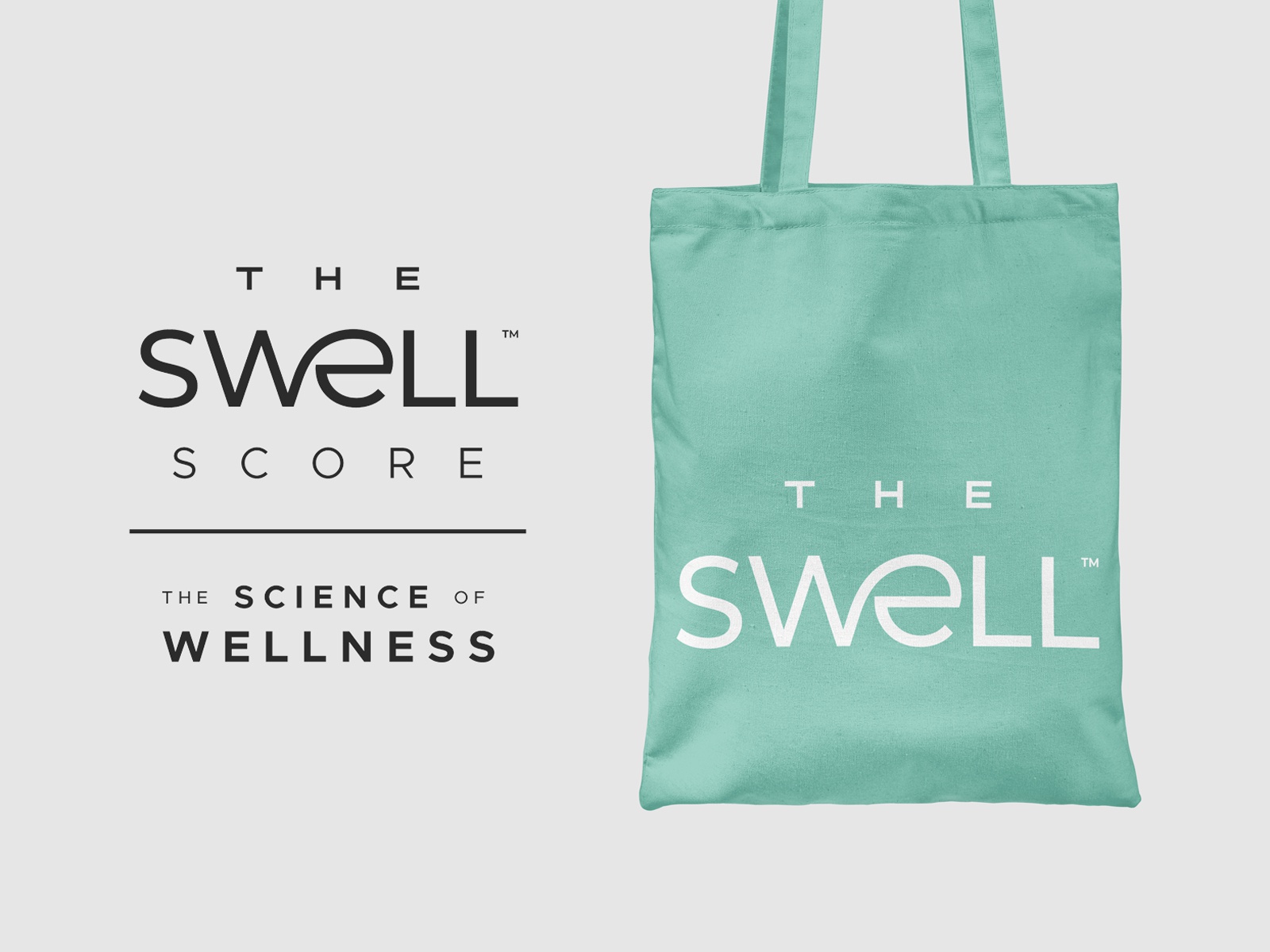 TSSW medical typography ligature science wellness health wave swell lo.jpg