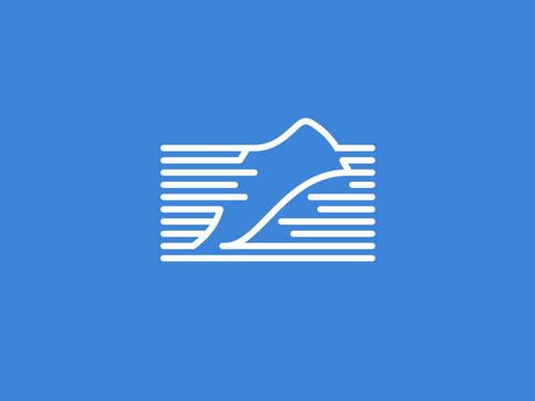 USA Marathon athlete nature dynamic usa negative blue marathon stripe.jpg