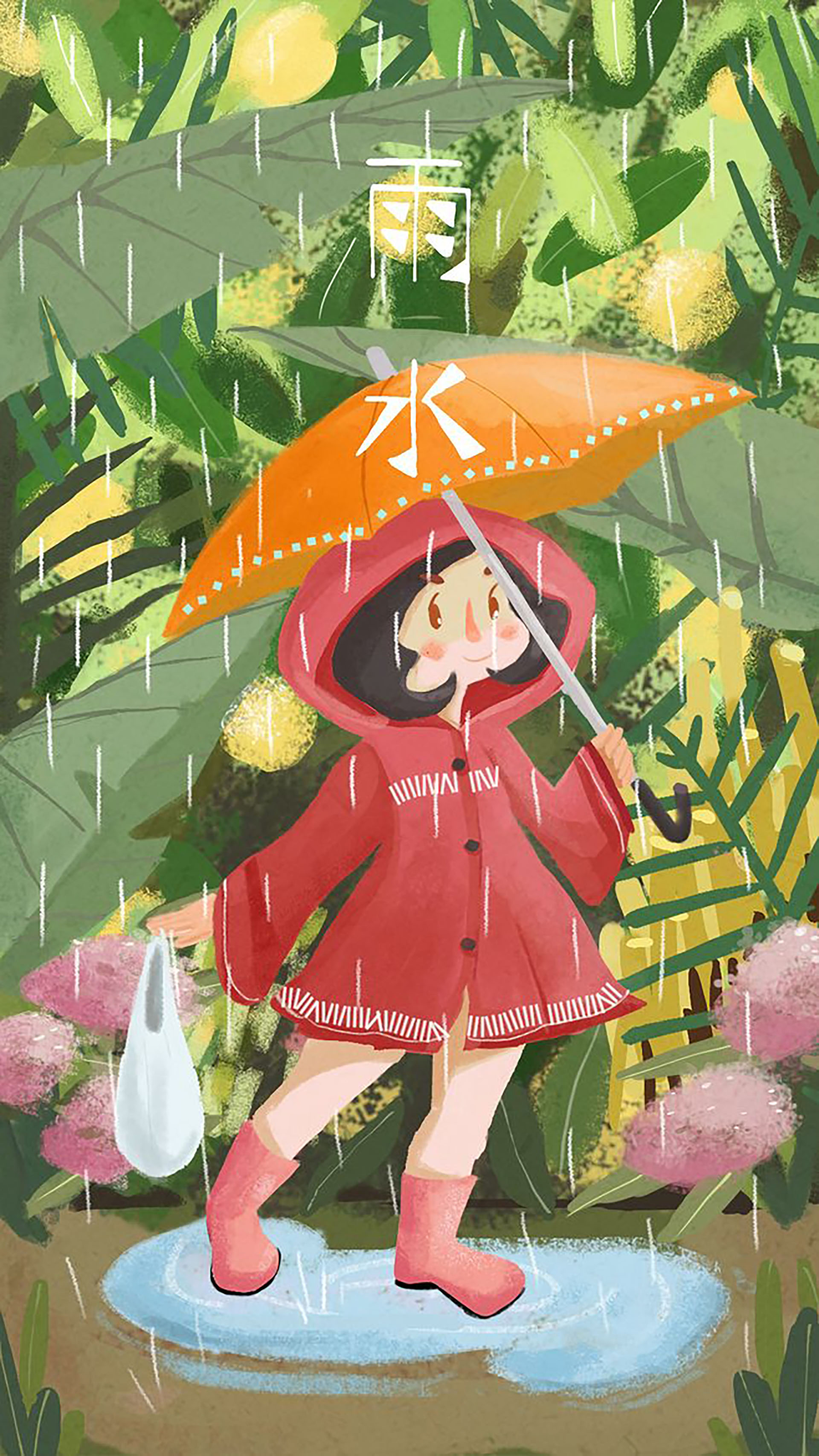 搜索-美叶