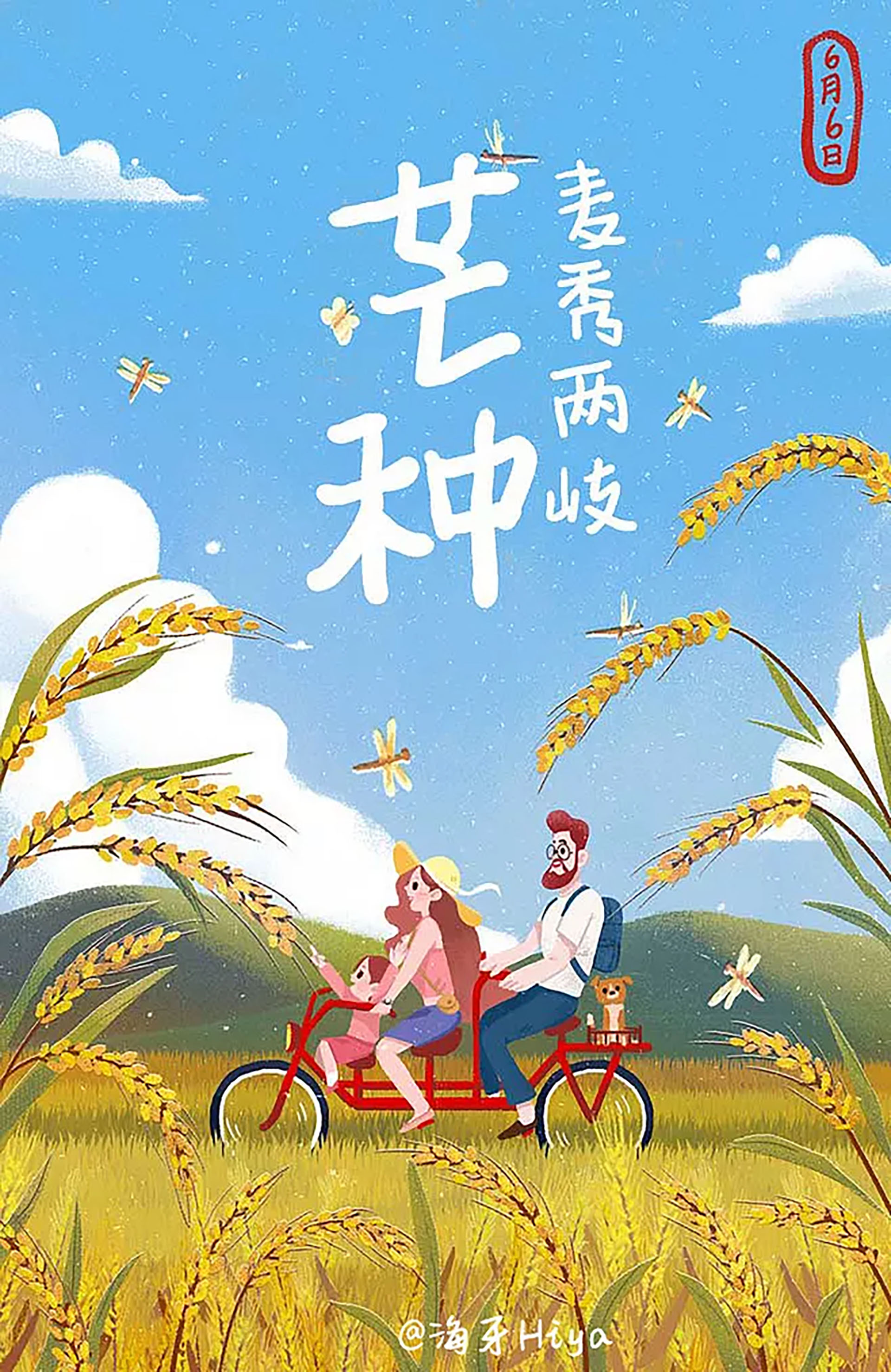 搜索-美叶