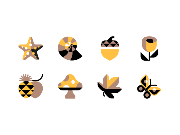 Flora  Fauna fauna leaf pinecone starfish acorn butterfly shell flower.webp