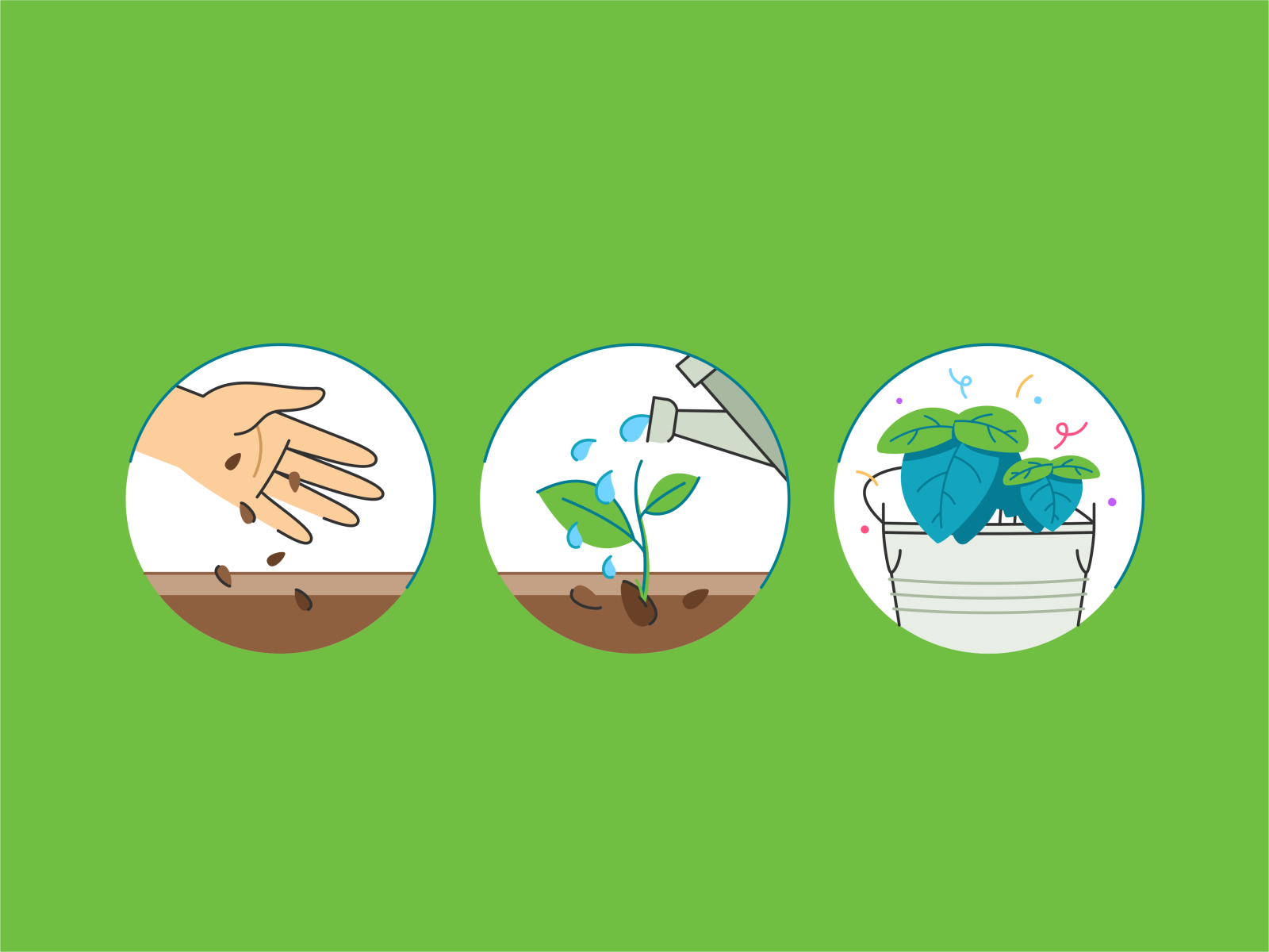 Plant Manual grow biology botany process earth hand water seed flower.png