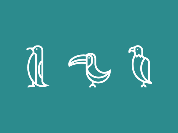 Birds birds toucan eagle penguin.png