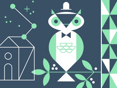 Is it a dream owl illustration house stars pattern.jpg