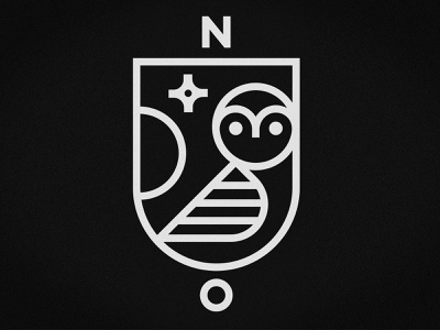 Night Owls logo bedtime illustration tee tshirt owl kids art emblem cr.jpg