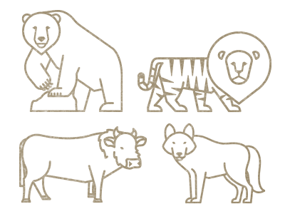 Hybrid Illustrations hybrid conference illustration icon animal liger.png