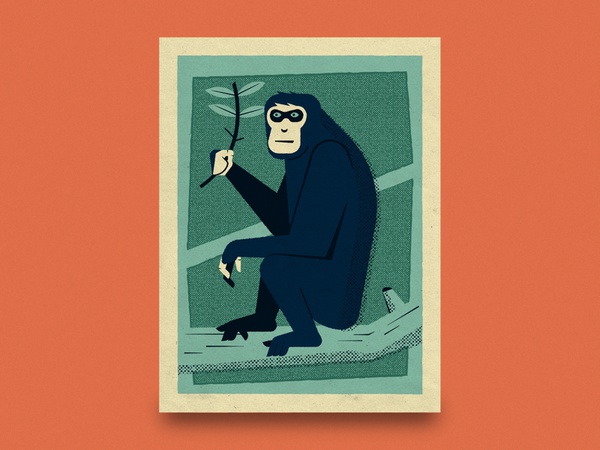 Bonobo editorial nature science bonobo wildlife conservation animal en.jpg