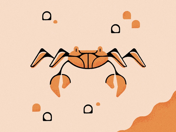 Crab conservation sea beach animal nature wildlife crab.jpg