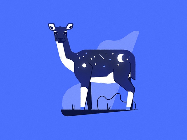 Deer No. 3 moon night stars science nature conservation wildlife anima.jpg