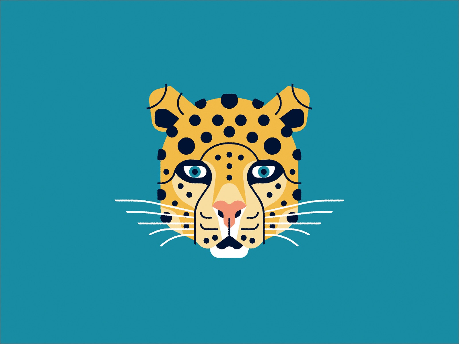 Leopard wildlife spots cat weekly warm-up dribbble animal big cat leop.jpg