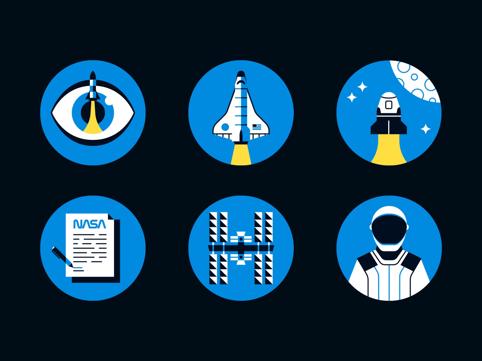 SpaceX Launch data visualisation data visualization data viz infograph.jpg