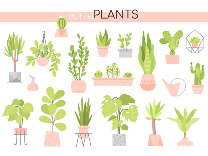 Potted Plants collection office succulents cacti flower pot garden pla.jpg