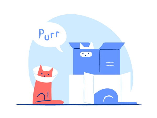 MAU cats love to boxes never ends mau purrr thick love box fun animal.jpg