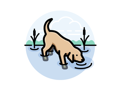 Dog Drinking From Stream drinking drink animal pet canine yellow lab l.png