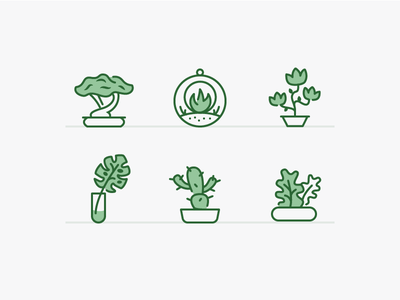 Plants  Pots feature illustrations feature icons app icons web icons i.png