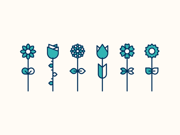 Gillys Lilies Illustrations floral flowers illustration creative desig.png