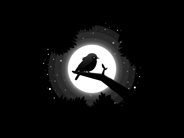 Birdy stars dark night moon bird.png