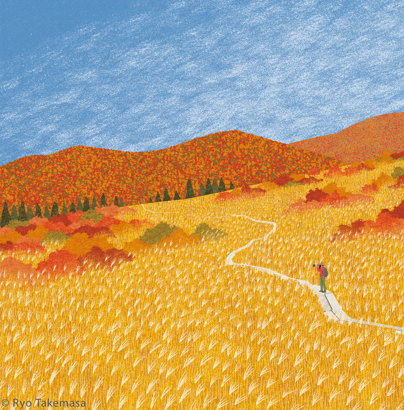 autumn autumn colors autumn tints Fall field grass Landscape Nature.jpg